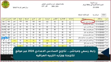 رابط رسمي ومباشر… نتائج السادس الإعدادي 2024 عبر موقع نتائجنا ووزارة التربية العراقية